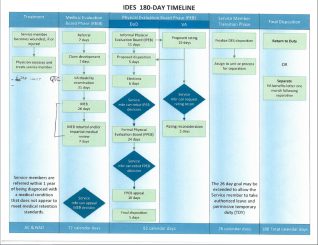 IDES Timeline.PNG